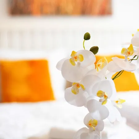 Seelina Apartament *