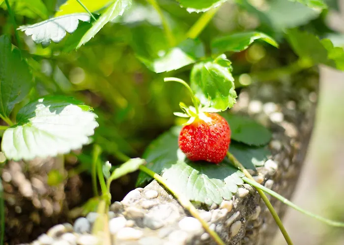 Seelina Appartement Perach